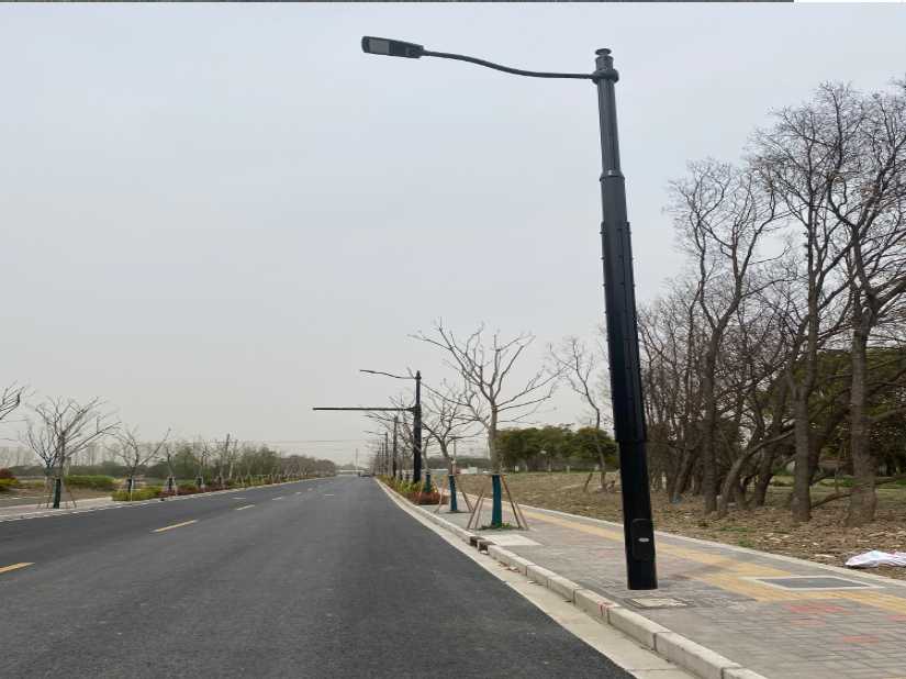 上林县上海综合杆 太阳能路灯工程